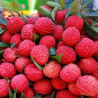 Litchi Chinensis 5 Seeds, Fragrant Chinese Strawberry Lychee Fruit Tree