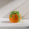 Happy Sprout Smiley Face Plant Pot with Drainage and Drip Tray With Size & Color Options