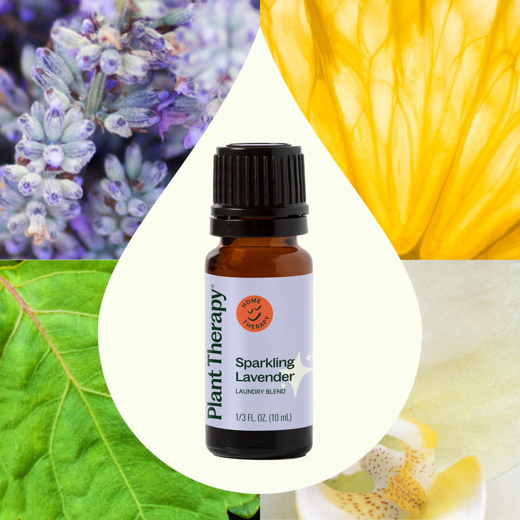 plant therapy lavender essential oil Sparkling Lavender Laundry Essential Oil Blend By Plant Therapy