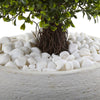 Boxwood Artificial Topiary with White Planter UV Resistant (Indoor/Outdoor)