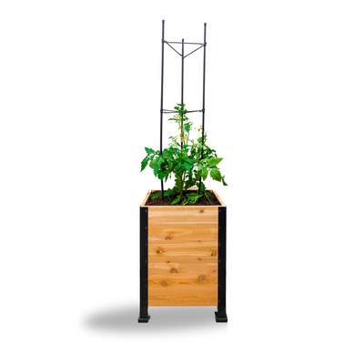 Vegetable Cage By Cedar Planters