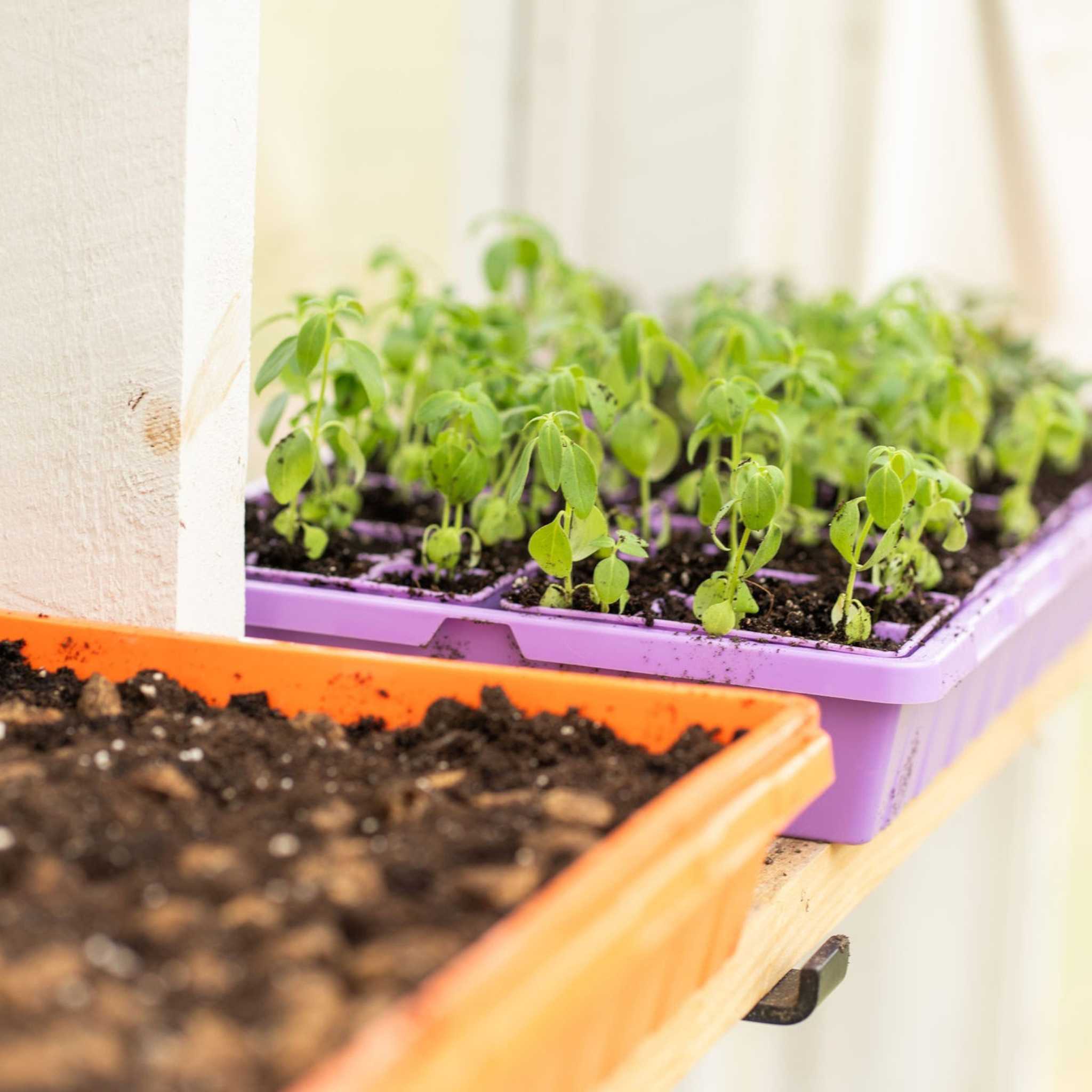 1020 Seed Starting Trays - Colored, Made In The USA By Bootstrap Farme ...