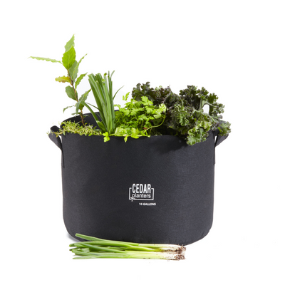 Grow Bag (10 Gallon) By Cedar Planters