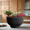 Bonsai Pot with Drainage & Tray In Many Colors & Sizes