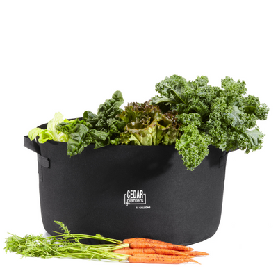 Grow Bag (15 Gallon) By Cedar Planters