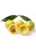 Syzygium jambos, Edible Rose Apple Fruit Tree - Live Plant