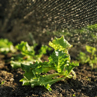 Greenhouse Garden Shade Cloth - 50% Black