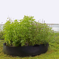 Grow Bags - 100 Gallon By Bootstrap Farmer
