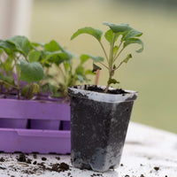 Seed Starter Pots - 2.5" Extra Strength By Bootstrap Farmer