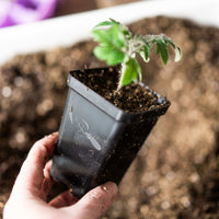 Seed Starter Pots - 2.5" Extra Strength By Bootstrap Farmer