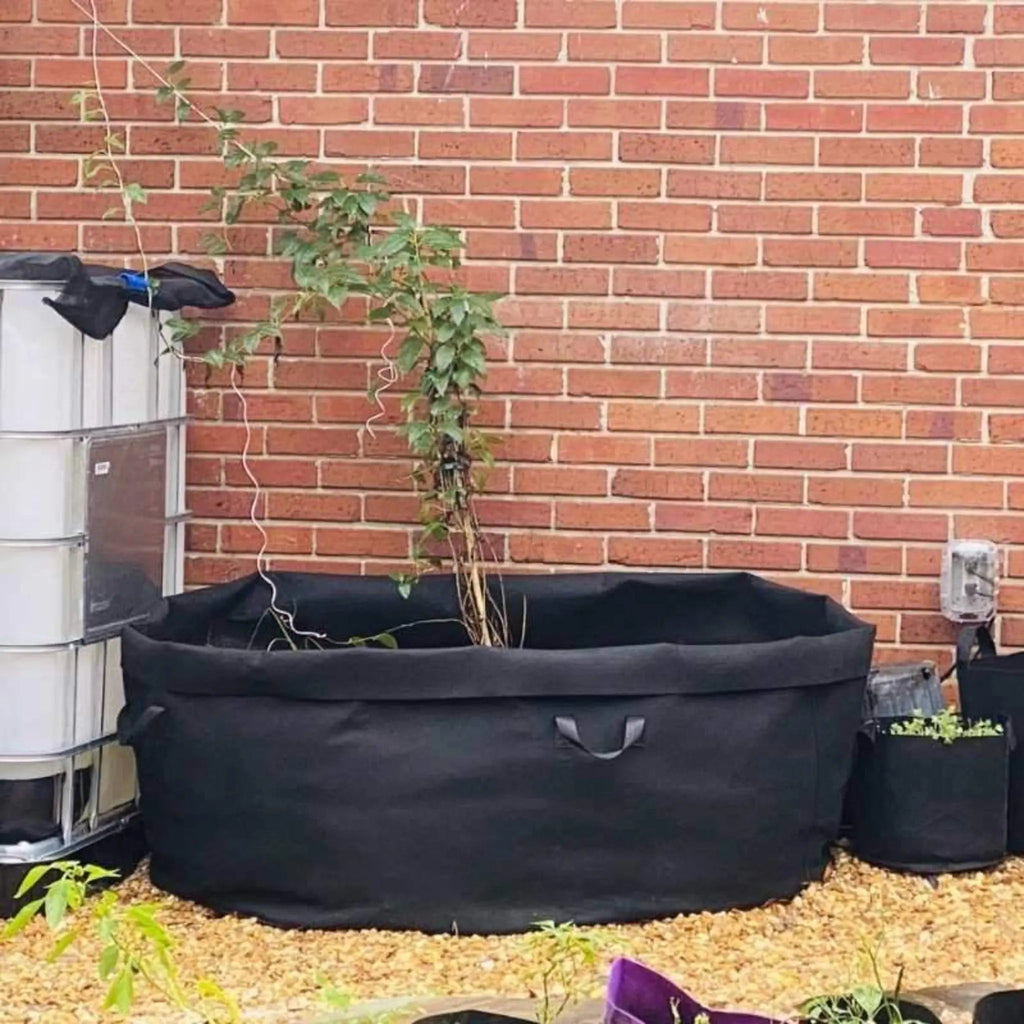 Grow Bags - 200 Gallon By Bootstrap Farmer