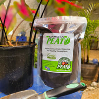 Dakota Reed Sedge Peat 1lb Bag By REV