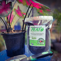 Dakota Reed Sedge Peat 1lb Bag By REV