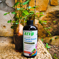 Organic REV Liquid Garden Plant Food 16 oz Bottle