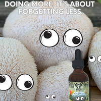 Mycomatrix Organic Lions Mane Adaptogenic Mushroom Extract