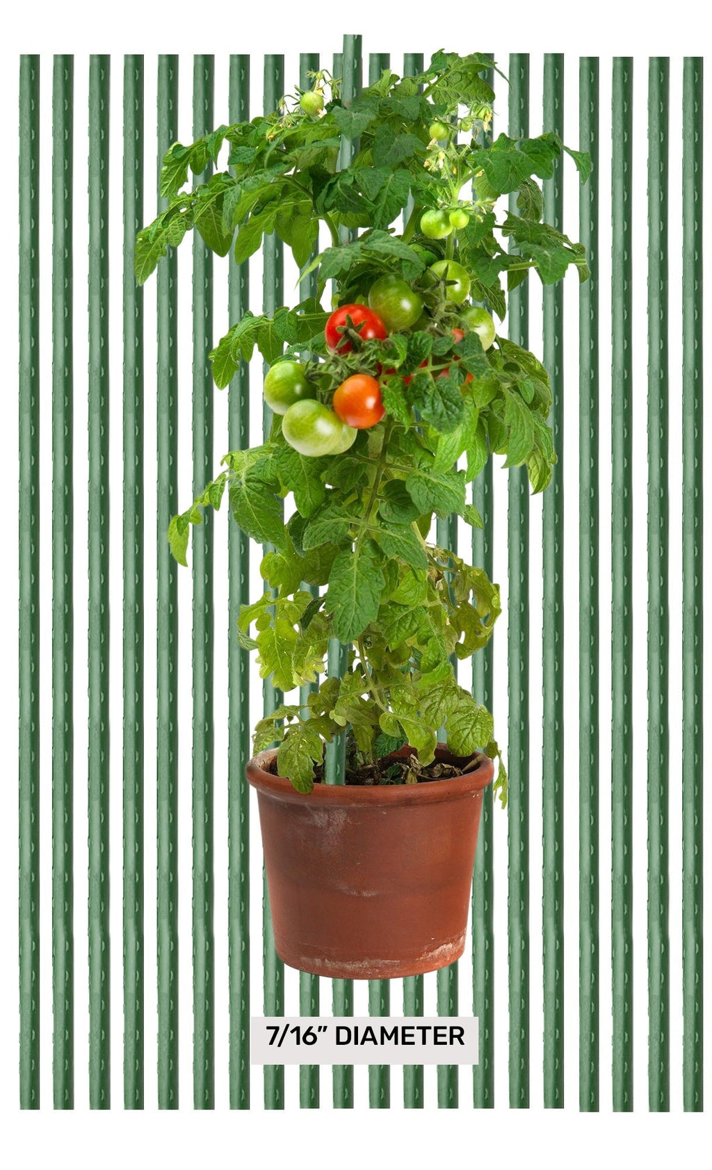 2.5' Sturdy Cross Bars- Garden Stake Segments - flat on both ends By C-BITE