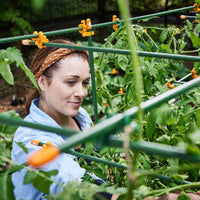 Twenty (20) Strong Steel Garden Stakes (available in lengths of:  3', 4', 5', and 6') All plant sticks are 7/16" diameter. Extra Grabby Coating