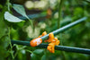 Temporary Landscape and Event Fencing Kit By C-Bite