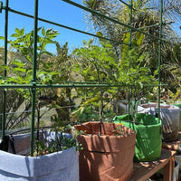 Temporary Landscape and Event Fencing Kit By C-Bite
