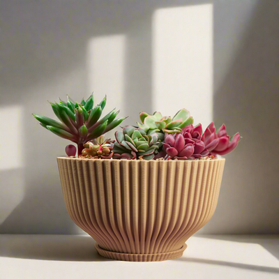 Bonsai Pot with Drainage & Tray In Many Colors & Sizes