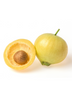Syzygium jambos, Edible Rose Apple Fruit Tree - Live Plant