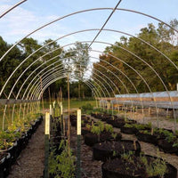 Grow Bags - 100 Gallon By Bootstrap Farmer