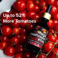 Magic Mushroom Elixir, Plant Growth Enhancing Serum By Love Plants