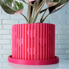 Modern Heart-Shaped Planter with Drainage & Saucer In Several Colors & Sizes!