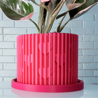 Modern Heart-Shaped Planter with Drainage & Saucer In Several Colors & Sizes!