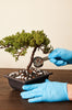 All Purpose Bonsai Fertilizer 18-4-10 By Bonsai Supply