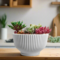 Bonsai Pot with Drainage & Tray In Many Colors & Sizes