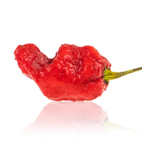 7 Pot Madballz Chili Pepper Seeds, Garden Vegetables That Pack The Heat!