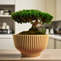 Bonsai Pot with Drainage & Tray In Many Colors & Sizes