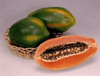 Carica papaya 'Dwarf Red Lady' Fruit Tree, Live Plant