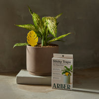 Sticky Traps for Plant Pests By Arber