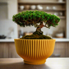 Bonsai Pot with Drainage & Tray In Many Colors & Sizes