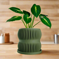 Aureus Planter with Drainage, Size & Color Options