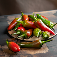 Chipotle Mild Jalapeno Chile Seeds, Garden Vegetables