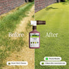 Organic Fungicide for Grass, Trees & Shrubs By Arber