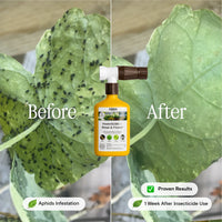Organic Insecticide for Rose & Flower Plants By Arber