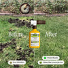 Organic Insecticide for Grass, Trees & Shrubs By Arber