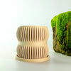 Aureus Planter with Drainage, Size & Color Options