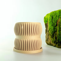 Aureus Planter with Drainage, Size & Color Options