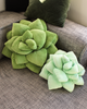 Big Pop Succulent® - 20" Olive Green Plant Pillow