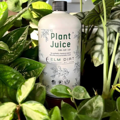 Plant Juice By Elm Dirt