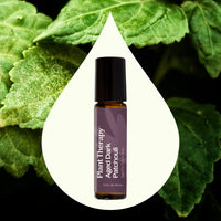 Aged Dark Patchouli Essential Oil Pre-Diluted Roll-On 10 ml By Plant Therapy