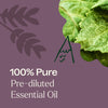 Aged Dark Patchouli Essential Oil Pre-Diluted Roll-On 10 ml By Plant Therapy