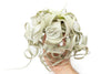 Special Curly Tillandsia Xerographica Air Plant - Limited Quantities / 6-8 Inches Wide