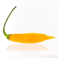Aji Mango Chili Pepper Seeds, Peruvian Garden Vegetables Moderate Heat