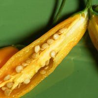 Aji Mango Chili Pepper Seeds, Peruvian Garden Vegetables Moderate Heat